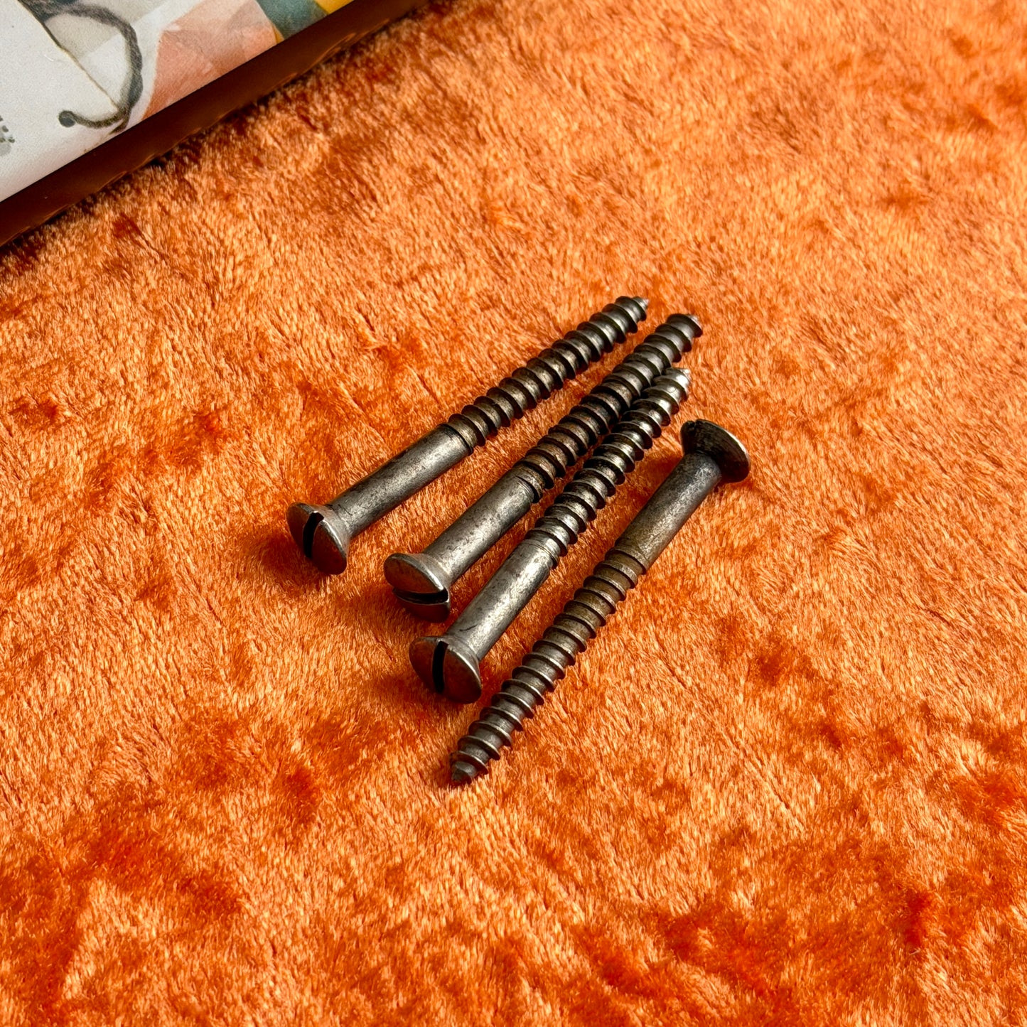 1-3/4" • '50s Blackguard Halsplattenschrauben