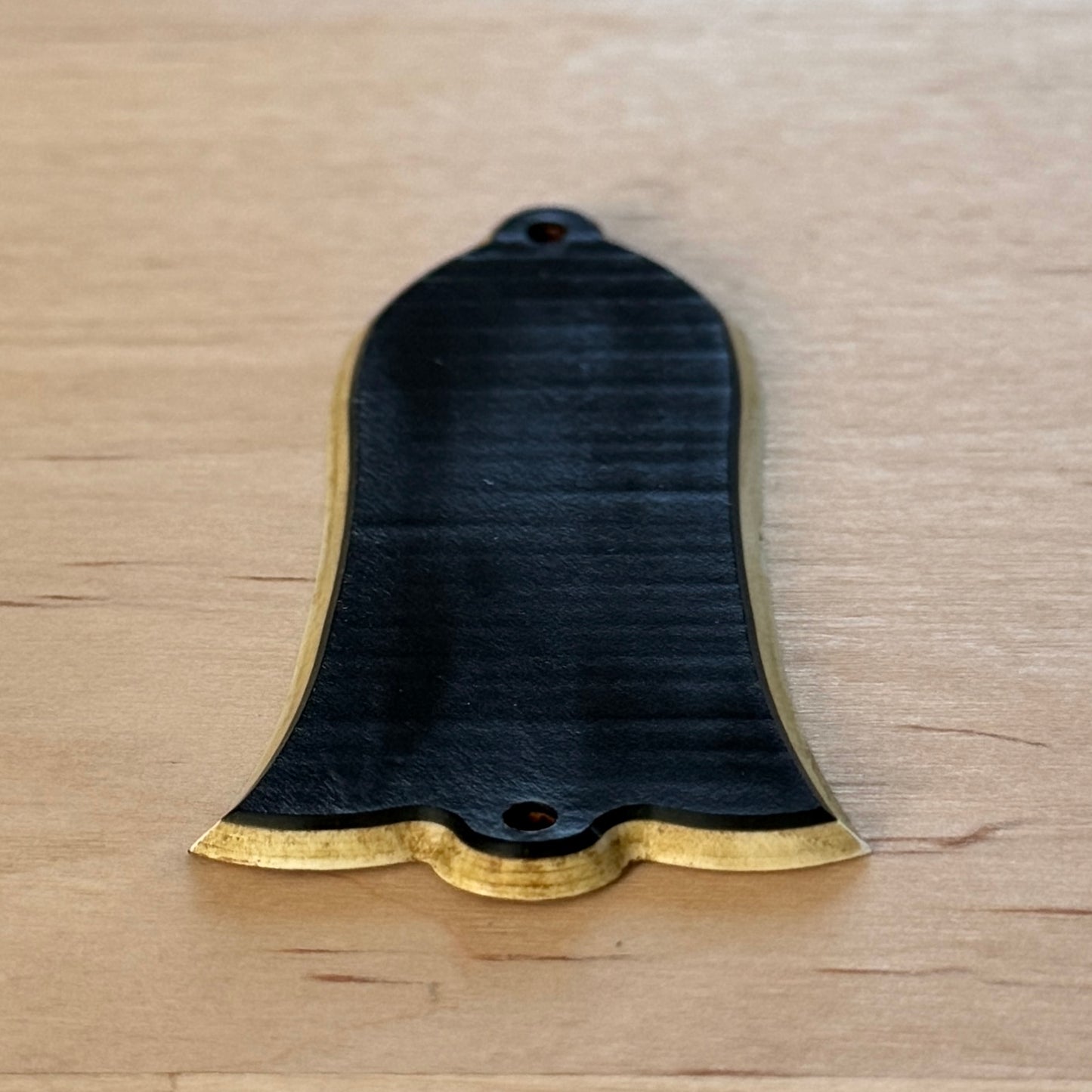 ONE OFF • Heavy Aged Truss Rod Cover