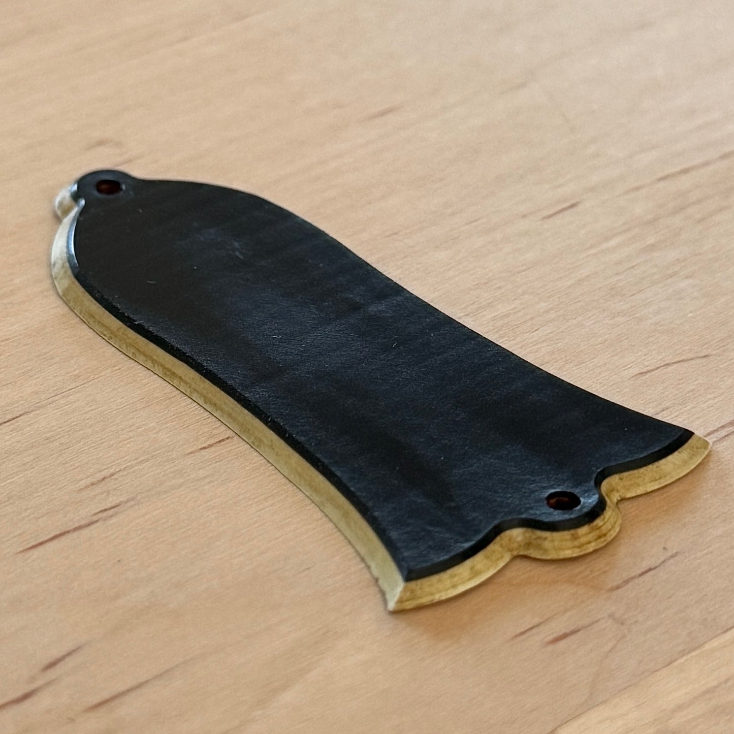 ONE OFF • Heavy Aged Truss Rod Cover