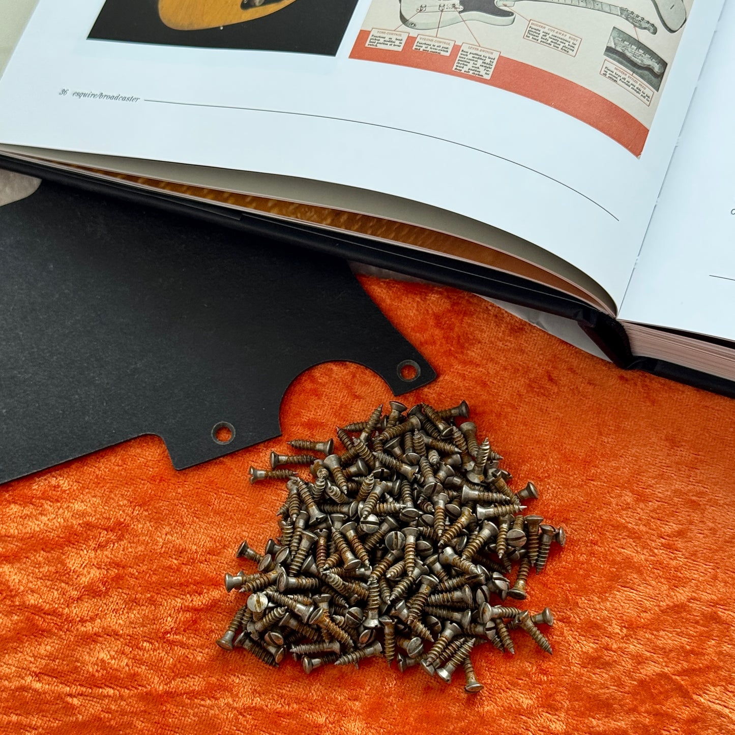 1950 Blackguard Screws